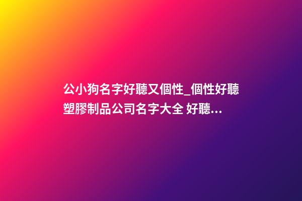 公小狗名字好聽又個性_個性好聽塑膠制品公司名字大全 好聽洋氣塑膠制品公司起名-第1張-公司起名-玄機派